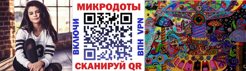 дарк нет официальный сайт  Кудымкар  Галлюциногенные грибы мицелий 