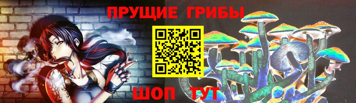 Галлюциногенные грибы Cubensis Кудымкар
